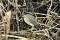 2013 02 09_7248_edited-1